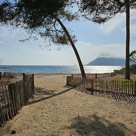 Petit Paradis Classe 3 Etoiles A 200M De La Plage! Terrasse-Wifi-Parking-Clim Saint-Mandrier-sur-Mer Exterior photo